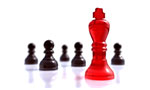 Promote your business